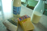 Latte e latticini, toccasana per la salute