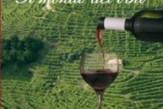 Il mondo del vino