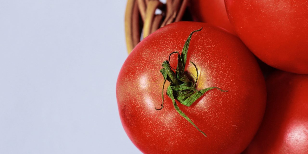 La contraddizione dei pomodori estivi