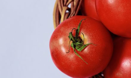 La contraddizione dei pomodori estivi