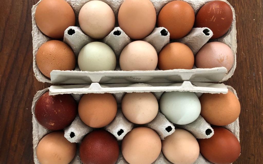 L’uovo di Colombo